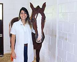 Alavanca ew 1 Alavanca ew 1