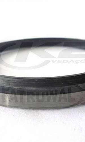 Anel raspador tipo d Anel raspador tipo d